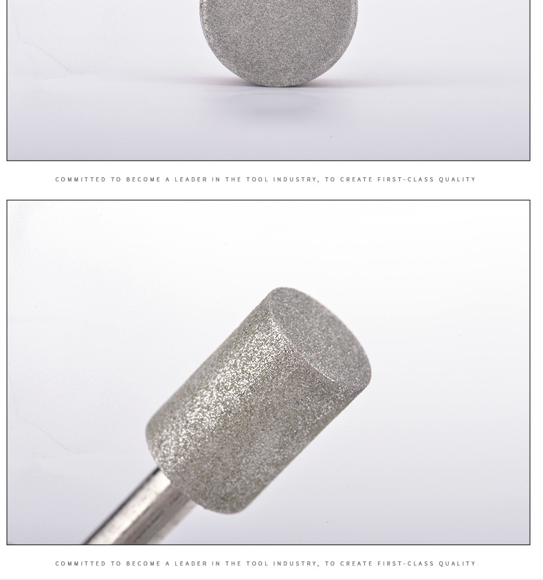 jinis silinder electroplated diamond dipasang rincian bur (4)